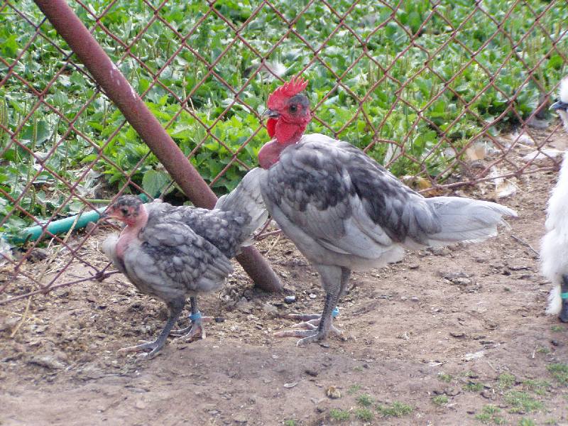 P1010011.JPG